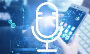 2023中國智能語音產(chǎn)品細分領域市場需求研究