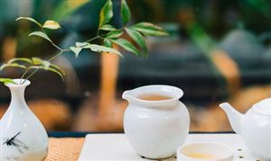2023年中國茶藝會(huì)館行業(yè)發(fā)展分析