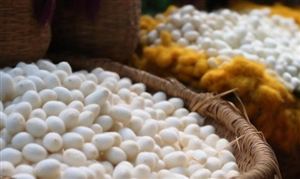 蠶絲行業(yè)深度分析及投資價(jià)值研究 蠶絲行業(yè)進(jìn)出口市場分析2023