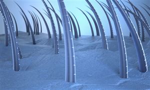 2023植發(fā)行業(yè)市場投資前景機(jī)遇分析