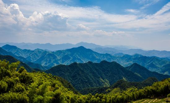 森林旅游產(chǎn)業(yè)發(fā)展現(xiàn)狀調(diào)研分析