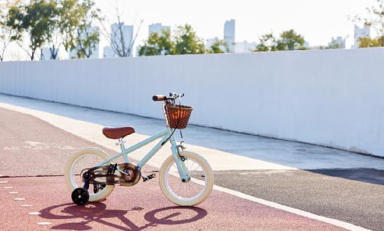 中國兒童單車行業(yè)深度調(diào)研與發(fā)展趨勢預(yù)測研究