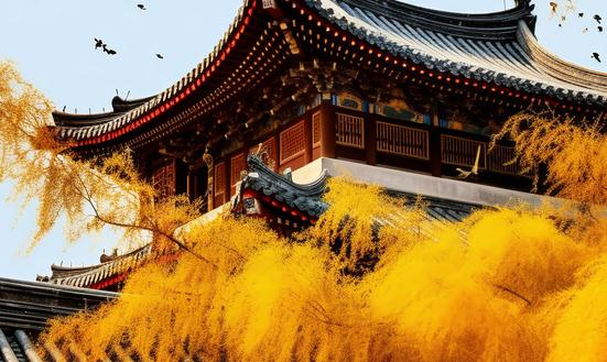 古建筑產(chǎn)業(yè)市場調(diào)研 古建筑產(chǎn)業(yè)未來發(fā)展趨勢預(yù)測