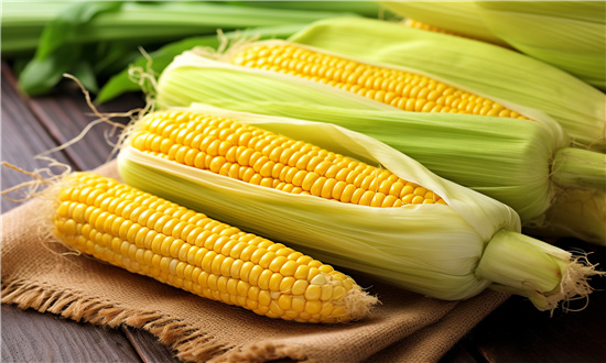 鮮食玉米行業(yè)市場分析調(diào)研 鮮食玉米行業(yè)市場發(fā)展分析