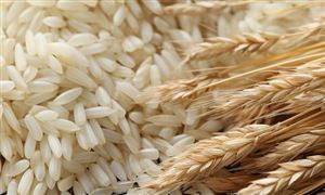 高端大米產(chǎn)量如何?2023高端大米行業(yè)市場(chǎng)需求分析