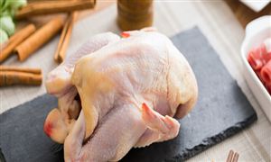 白羽肉雞產(chǎn)業(yè)深觀察 白羽雞行業(yè)市場(chǎng)機(jī)遇分析