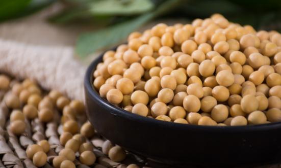 大豆種植行業(yè)發(fā)展現(xiàn)狀：2023年大豆面積穩(wěn)中有增 穩(wěn)定在1.5億畝以上