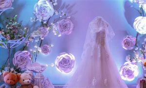 2023年婚紗禮服行業(yè)市場發(fā)展狀況調(diào)查分析