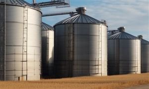 糧食倉儲行業(yè)市場多大?2024年糧食倉儲行業(yè)深度調研分析