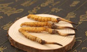 2023冬蟲夏草行業(yè)發(fā)展前景研究：預計2023年中國冬蟲夏草銷售規(guī)模突破200億元