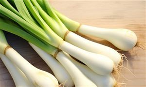 全國(guó)大蔥種植面積達(dá)850萬畝 大蔥產(chǎn)品行業(yè)市場(chǎng)需求分析
