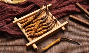 2023年中國(guó)冬蟲夏草未來(lái)發(fā)展趨勢(shì)分析