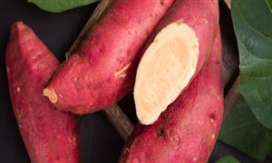 紅薯食品行業(yè)發(fā)展趨勢及投資策略分析2024