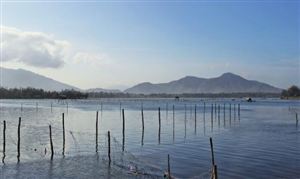 2023年中國魚粉行業(yè)深度調(diào)研與發(fā)展趨勢預(yù)測研究報(bào)告