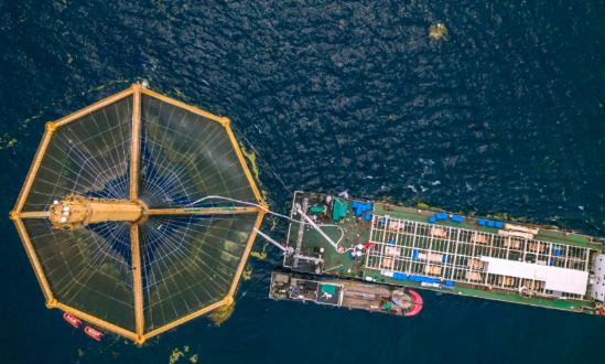 2024海洋新能源行業(yè)深度調(diào)研：海洋油氣與新能源融合發(fā)展將成為熱點方向
