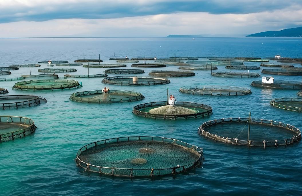 2023海洋漁業(yè)的創(chuàng)新趨勢與發(fā)展模式研究