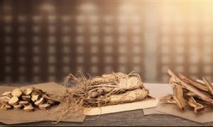 人參提取物行業(yè)深度調(diào)研報告2024