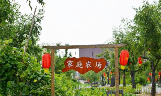 家庭農(nóng)場(chǎng)行業(yè)發(fā)展現(xiàn)狀分析及市場(chǎng)環(huán)境