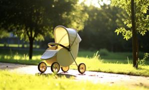 2024嬰兒車行業(yè)發(fā)展?fàn)顩r及進(jìn)出口市場分析