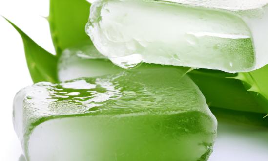 我國蘆薈制品產(chǎn)值10年內(nèi)將達(dá)80億元以上,開發(fā)利用前景廣闊?