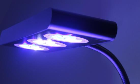 LED燈行業(yè)市場深度調研：預計2026年LED照明市場規(guī)模將增至7000多億元