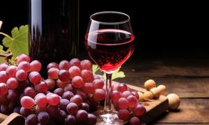 外賣訂單暴增1600% 這一熱紅酒飲品成今冬爆款 紅酒行業(yè)市場深度分析發(fā)展策略報(bào)告
