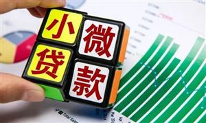 2024小微金融行業(yè)市場發(fā)展前景研究：普惠金融服務(wù)能力不斷提升