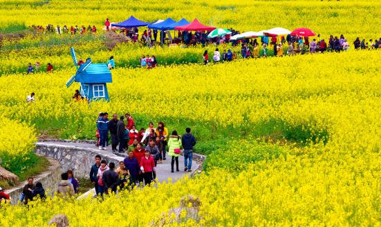 2024休閑農(nóng)業(yè)與鄉(xiāng)村旅游行業(yè)前景與趨勢：打造綠色低碳的農(nóng)業(yè)和旅游產(chǎn)業(yè)體系