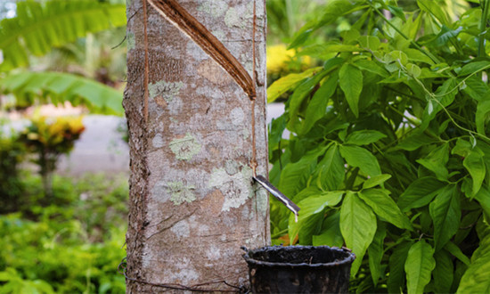 橡膠軟化劑行業(yè)現(xiàn)狀及趨勢(shì)分析：綠色化、低碳化成為橡膠軟化劑行業(yè)發(fā)展趨勢(shì)