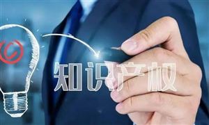 知識產(chǎn)權(quán)服務(wù)行業(yè)市場發(fā)展報告：2023年我國知識產(chǎn)權(quán)立法取得顯著進展