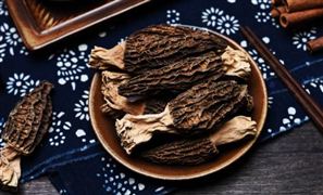 2024羊肚菌種植行業(yè)現狀及供給分析 羊肚菌行業(yè)進出口市場分析