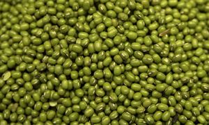 綠豆行業(yè)種植面積、產(chǎn)量及發(fā)展現(xiàn)狀分析