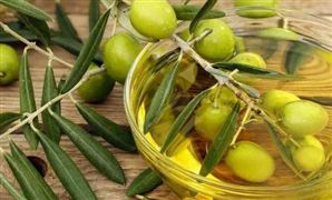 原生橄欖油行業(yè)發(fā)展前景與消費(fèi)分析：向健康、有序、規(guī)范、專業(yè)化方向發(fā)展