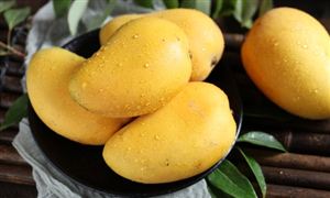 2024年中國芒果產(chǎn)業(yè)發(fā)展現(xiàn)狀及重點企業(yè)的經(jīng)營情況