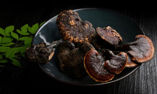 靈芝行業(yè)報告 靈芝行業(yè)發(fā)展現(xiàn)狀深度調(diào)研分析
