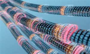 2024特種電纜行業(yè)未來發(fā)展方向預(yù)測