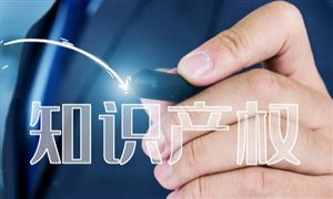 知識產(chǎn)權(quán)服務產(chǎn)業(yè)鏈及發(fā)展趨勢分析2024