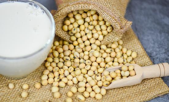 植物蛋白飲料行業(yè)現(xiàn)狀及消費(fèi)趨勢分析2024