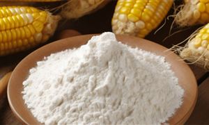 玉米淀粉行業(yè)市場需求及供給格局分析
