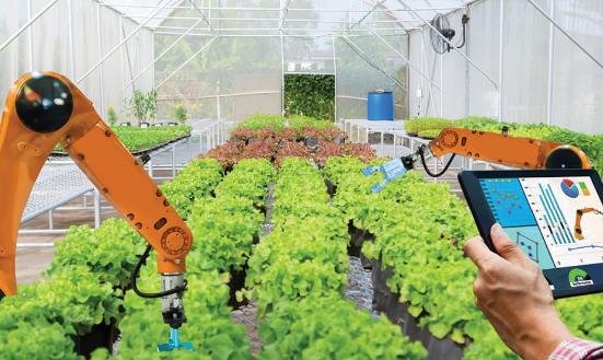 農(nóng)業(yè)信息化行業(yè)市場分析2024