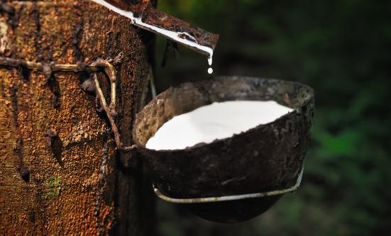 天然橡膠行業(yè)深度分析：天然橡膠的需求量有望繼續(xù)增加