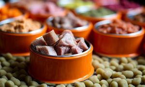 寵物食品行業(yè)市場現(xiàn)狀及投融資分析2024