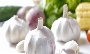 中國(guó)大蒜行業(yè)現(xiàn)狀機(jī)遇未來趨勢(shì)分析