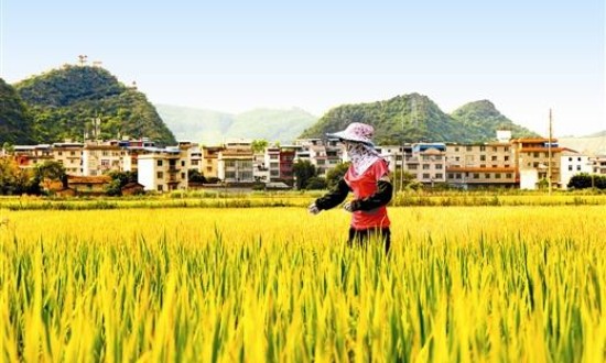 2024年中國村鎮(zhèn)經(jīng)濟行業(yè)市場發(fā)展現(xiàn)狀及發(fā)展前景
