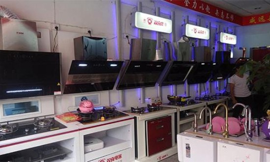 2024年廚電項目行業(yè)發(fā)展現(xiàn)狀及發(fā)展趨勢分析