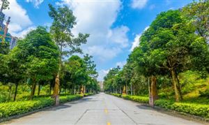 社區(qū)服務(wù)行業(yè)報(bào)告 社區(qū)服務(wù)行業(yè)政策環(huán)境分析