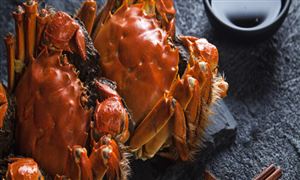 大閘蟹養(yǎng)殖行業(yè)市場機遇分析