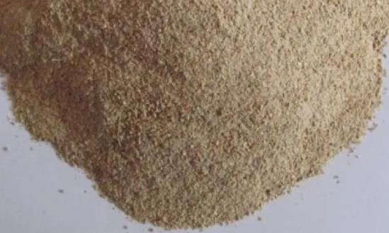 2024酶制劑產(chǎn)業(yè)現(xiàn)狀及未來發(fā)展趨勢分析