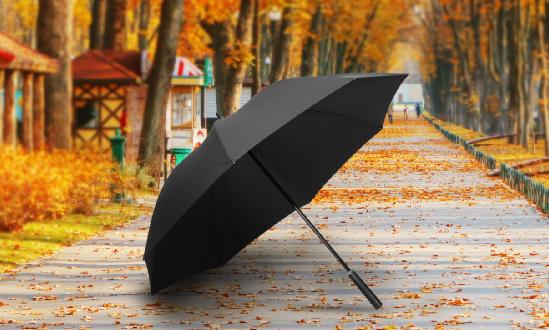 2024年中國雨傘市場深度調(diào)查研究報告