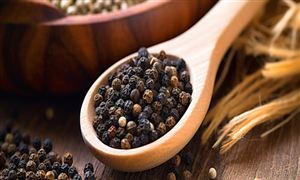 胡椒行業(yè)市場調研深度分析